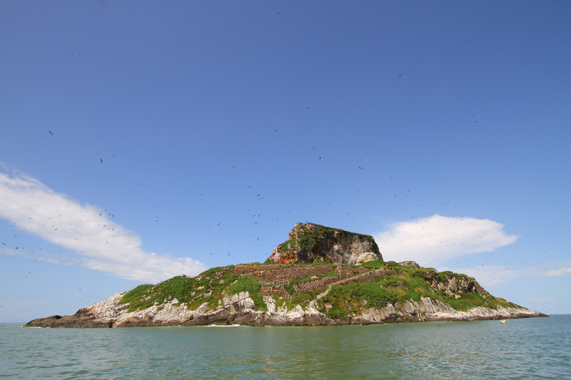 La Réserve Naturelle Nationale de l’Île du Grand-Connétable inscrite sur la liste de l’UICN