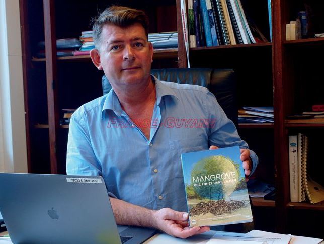 « La vase revient… et la mangrove va apparaitre »