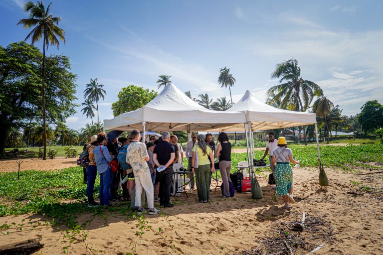 source : ©_Bernard GISSINGER (Canopée des sciences), 2024