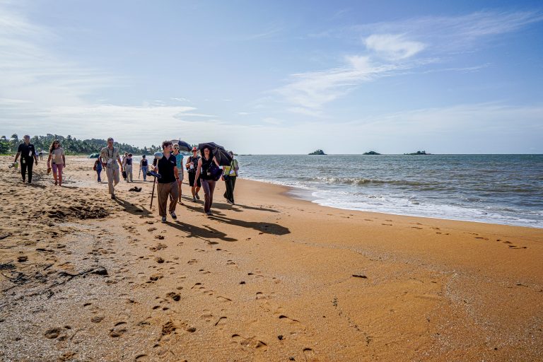 source : ©_Bernard GISSINGER (Canopée des sciences), 2024