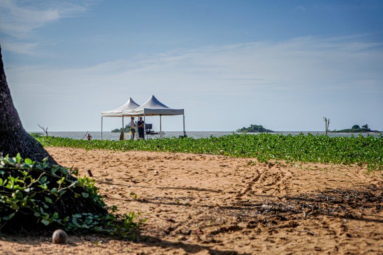 source : ©_Bernard GISSINGER (Canopée des sciences), 2024