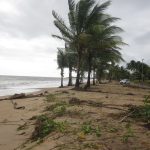 2015 Kourou Anse amerindien