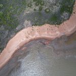 photo drone awala 2022
