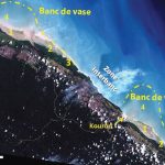 2015 carte kourou bancs vase