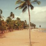 kourou roche 2016